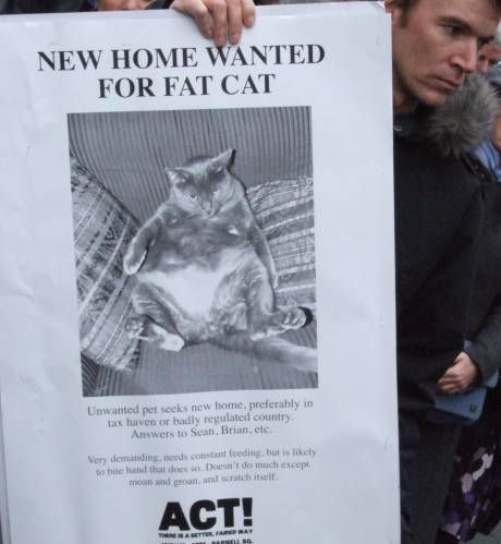 Appeal for fatcat rescue - contact two knaves called Brian.