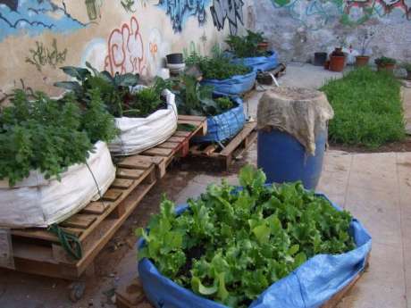 Mobile garden, Image from Gracia hort