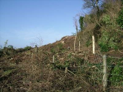 Concrete post of old Coillte fence