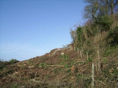 Rath Lugh new fence posts