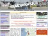 Screenshot from www.shannonwatch.org which was attacked repeatedly this week
