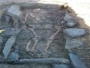 One of Tara's Ancestors wrenched from the Sacred Burial Grounds at Tara. NRA photo