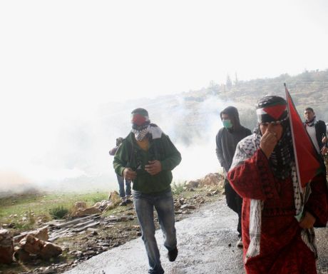 Click on image to see full-sized version Jawaher Abu Rahmah before succumbing to severe tear gas poisoning at last Friday's protest in Bil'in