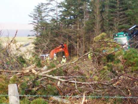 Click on image to see full-sized version Campaigner climbing tree cutting machine