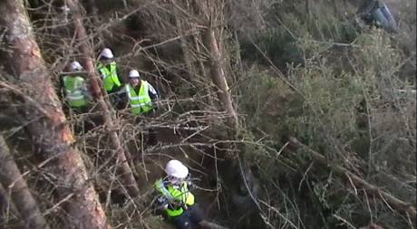 The view from on top of the tree-cutter