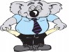 koala.jpg