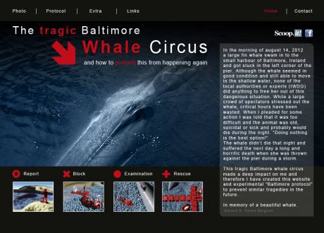 Click on image to see full-sized version homepage