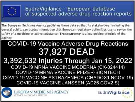 adrs-eu-jan-15-head.jpg