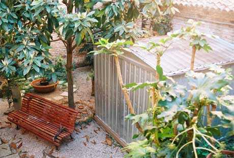 monks garden Venice, where dreams may be realised....