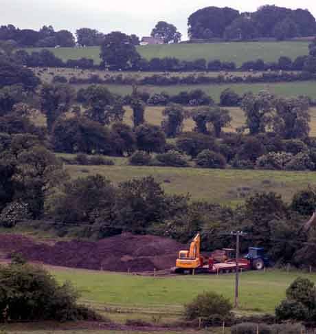 Top of the Hill of Tara in the background - from Tara Interchange dig site