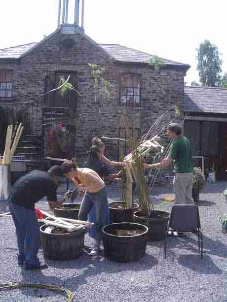 the first of the willow people takes shape