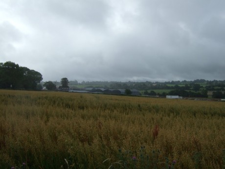 View from Garlow Cross towards Tara 