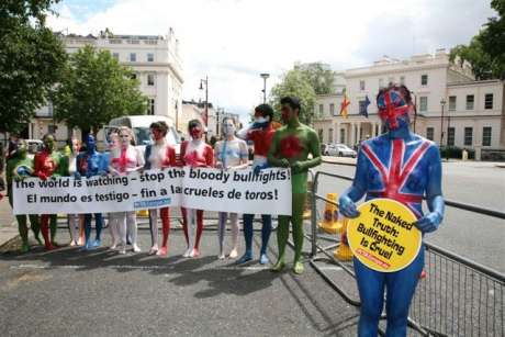 ireland_against_bullfighting.jpg