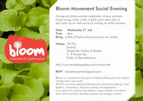Summer Activism Celebration Invitation
