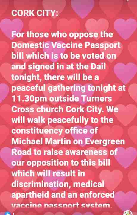 cork_rally_against_vax_passes_14th_july.jpg