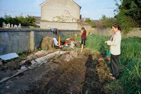 Garden scene