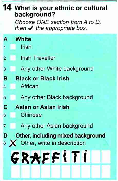 Question 14: What is your ethnic or cultural background?
