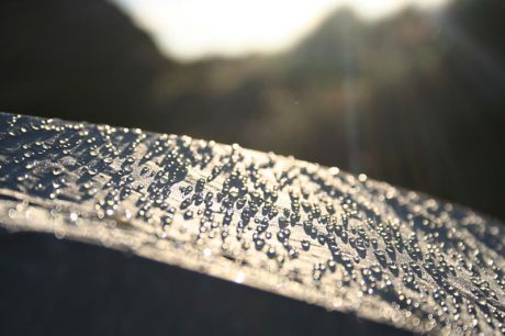 Saturday at dawn: dew drops on a tent