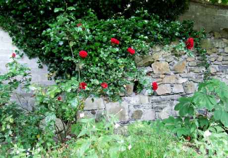 Old Wall With New Breeze Block Wall Behind