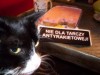 Miaou after he had just broken his Anti-Star Wars solidarity fast