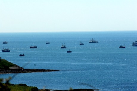 Boats of all sizes took part