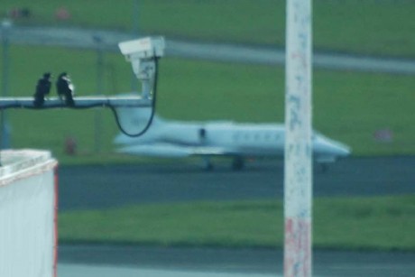 The Crows observe N71PG while Gardai and Security cameras look the other way