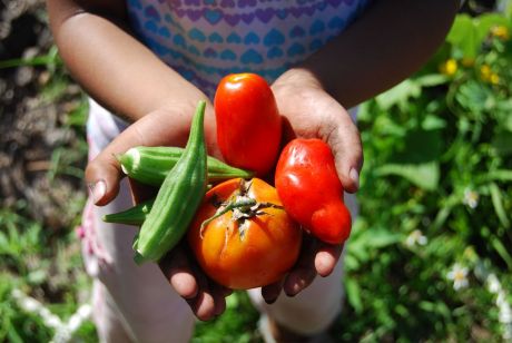 Click on image to see full-sized version AVSI promotes sustainable development and healthy living in African communities worldwide