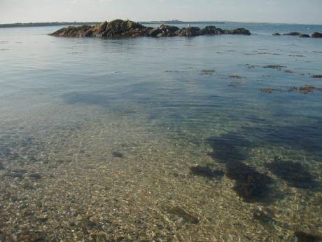 Click on image to see full-sized version The unpolluted crystal clear waters of Bremore 20-9-08