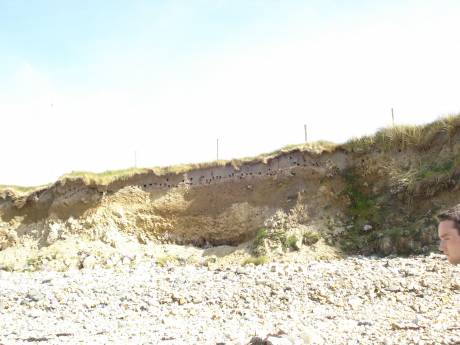 good to see the sandmartins are still here,  just around the corner from the cliff shell destroyed