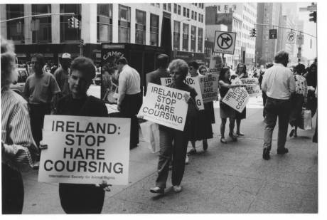 Protesters against Irish hare coursing outside Ireland's New York consulate