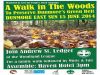 a_walk_in_the_woods_to_preserve_dunmores_green_belt_dunmore_east_sun_15_jun_2014.jpg