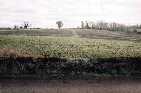 Click on image to see full-sized version Baronstown National Monument