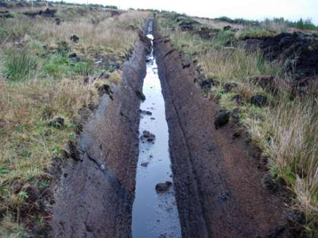 Drainage Ditch for water running off site