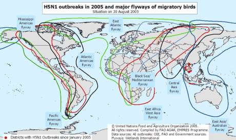 the usual routes for our winged foes