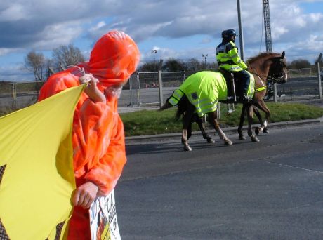 No Colm, That's Not Bush - Just Another Horse's Ass