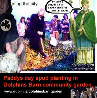 Paddys day spud planting in Dolphins Barn community garden