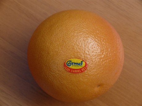 israeligrapefruitdunnes.jpg