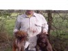 This "sport" could be permitted under "animal welfare" bill