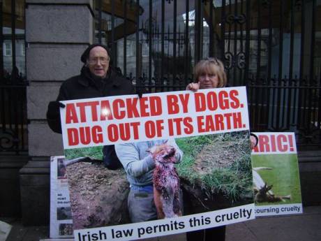 Protesters at the Dail