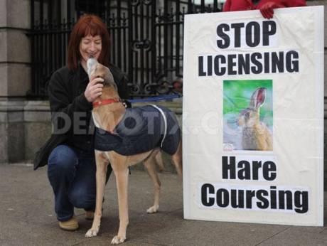 Clare D opposes hare coursing...but spares a thought for the greyhounds too.