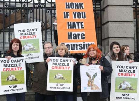 Protest against hare coursing, with ULA Deputy Clare Daly among those calling for protection of the Irish Hare