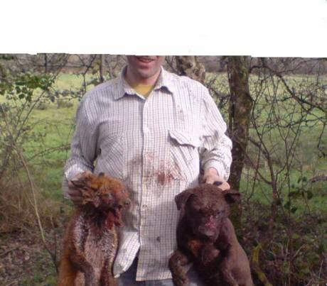 A terrierman with unearthed fox and dog, both injured in underground struggle