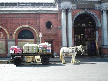 Horse-drawn cart deliveries of fruit and vegetables to inner city district shops.