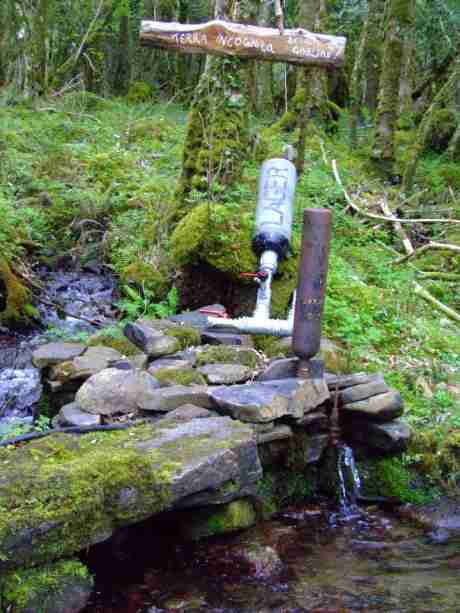 Ram Pump at the stream, using the waters own energy to pump it where you want it. New model ready behind current one.