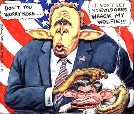 Click on image to see full-sized version © Steve Bell 2007
