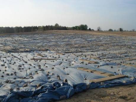 Henge site 29 April 2007