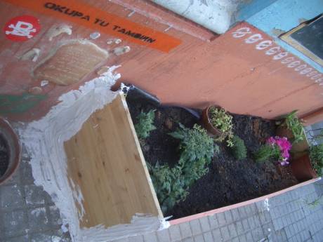 a new urban garden created as an act of resistance against upcoming eviction