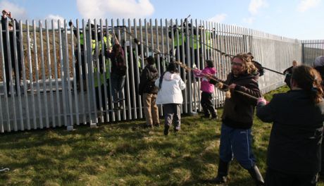 The next five pics were taken with the smaller group on at the beach side of the fence.