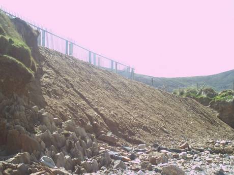 Sand martin's nest destroyed at intended point of land fall