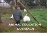 animal_education_outreach_turkey.jpg